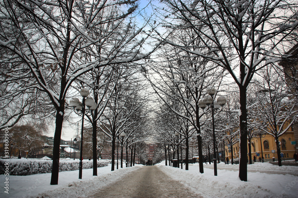 Vinter i Stockholm/Kungsträdgården