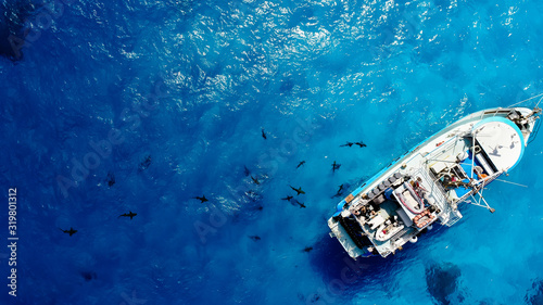 Boot umzingelt von Haien © michaelgeyer