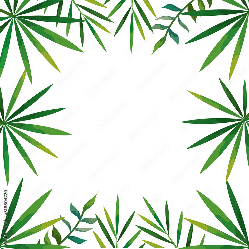 frame of tropical natural leafs isolated icon frame of tropical natural leafs isolated icon
