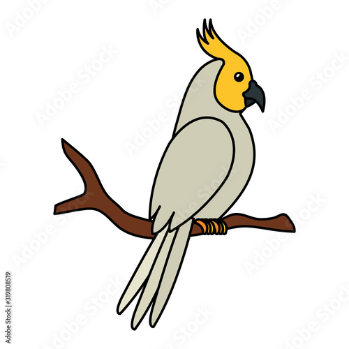 parrot bird in tree branch isolated icon