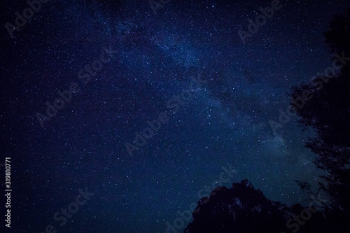 Photography Milky way and stars and tree crowns on navy blue sky background in summer night