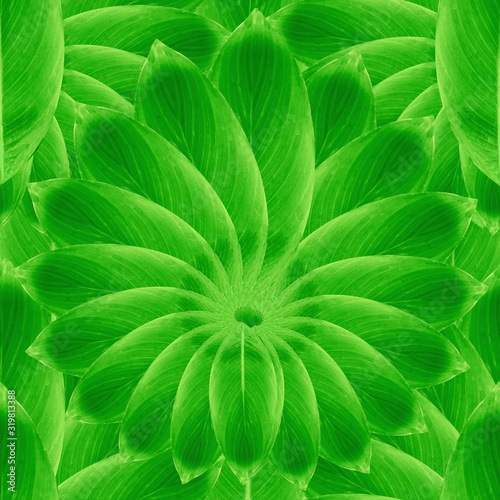 leaves seamless pattern design