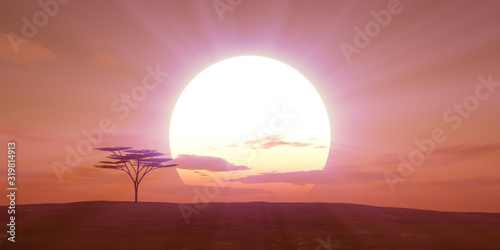 big sun sunset tree landscape  3d illustrations