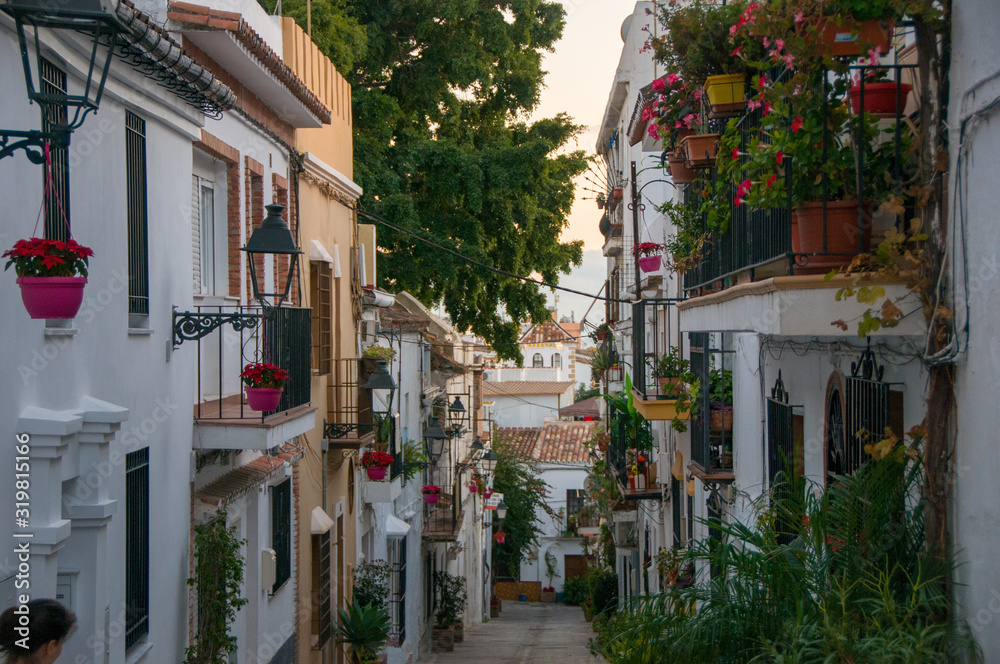 Obraz premium Beautiful street with potted plants in Marbella. 