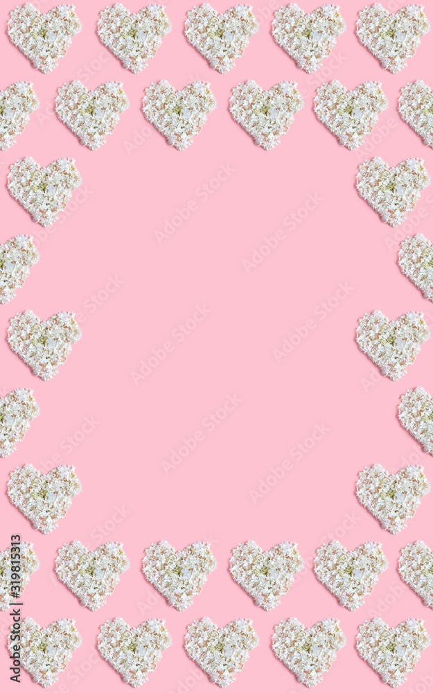 beautiful frame of white hearts on a pink background. fresh hydrangea flowers. flat lay, copy space, vertical frame