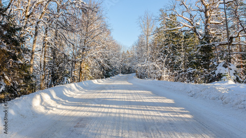 White winter road through the forest. Beautiful, sunny winter day in the countryside. Snow-covered trees. Latvia