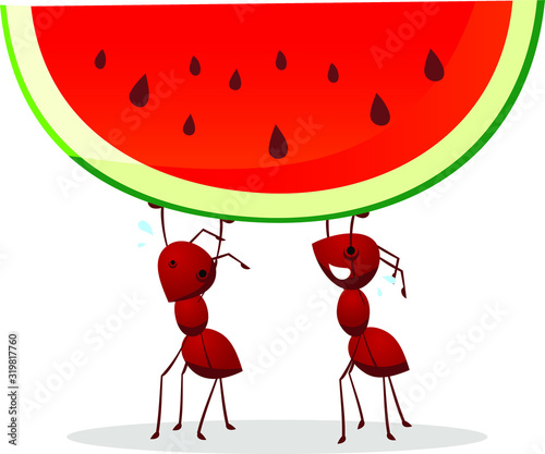 ants carrying watermelon