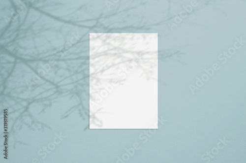 Blank white vertical paper sheet 5x7 inches with tree shadow overlay. Modern and stylish greeting card or wedding invitation mock up.