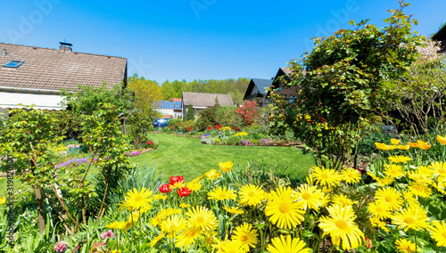 Schöner Garten im Frühling photo