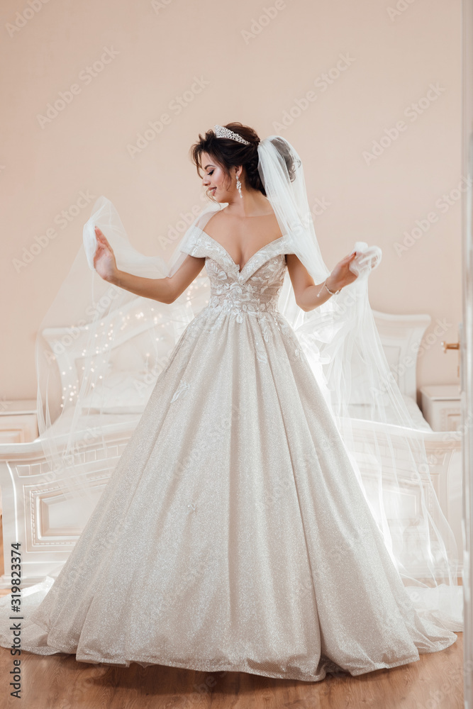 Portrait of a beautiful girl in a wedding dress. Bride in a luxurious dress. Fashion bride in gorgeous wedding dress. Beautiful model with bridal makeup and hairstyle. Bride plays veil