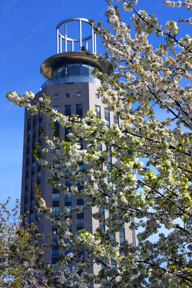 Söder torn på medborgarplatsen under körsbärsträdens blommning..