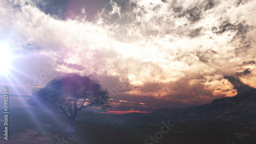 sunset at meadow and lonely tree