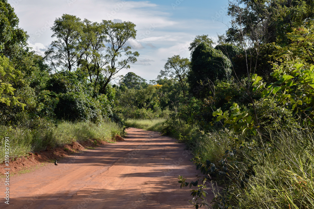 Estrada de terra através de bioma do Cerrado