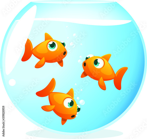 three goldfish