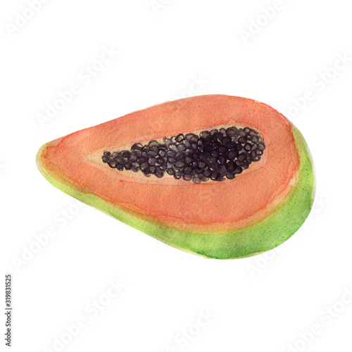 Watercolor papaya slice illustration isolated on white background. Watercolor tropical fruit papaya. Drawn colored papaya