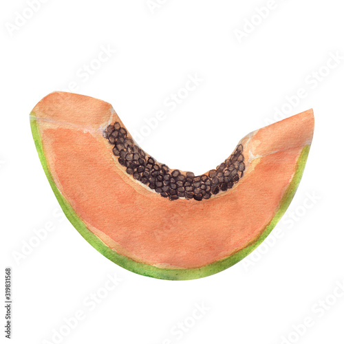 Watercolor papaya slice illustration isolated on white background. Watercolor tropical fruit papaya. Drawn colored papaya