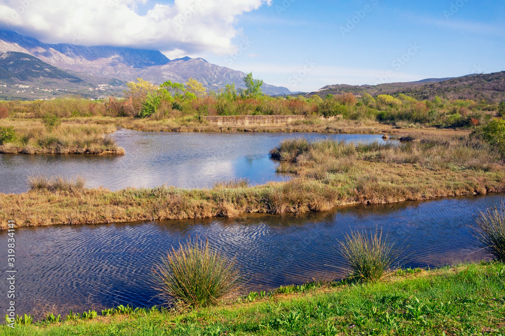 Beautiful wetland landscape. Montenegro, Tivat. View of Tivat Salina  ( Tivatska Solila )