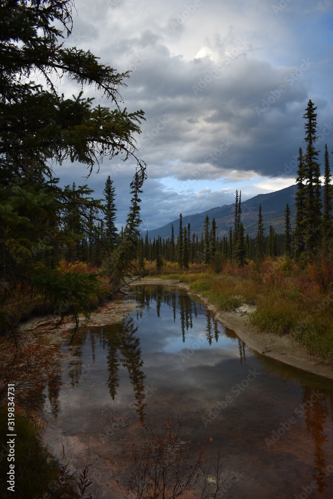 Mountain stream