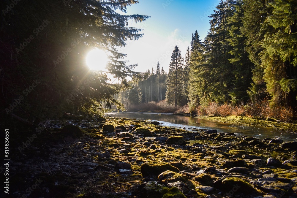 Mossy River