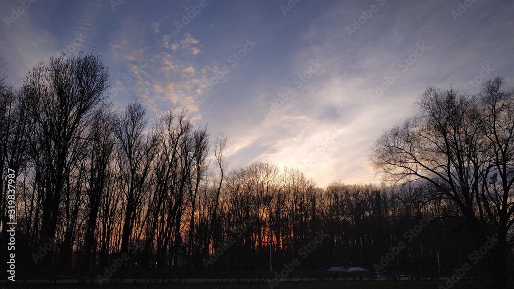Naklejka premium sunset in park