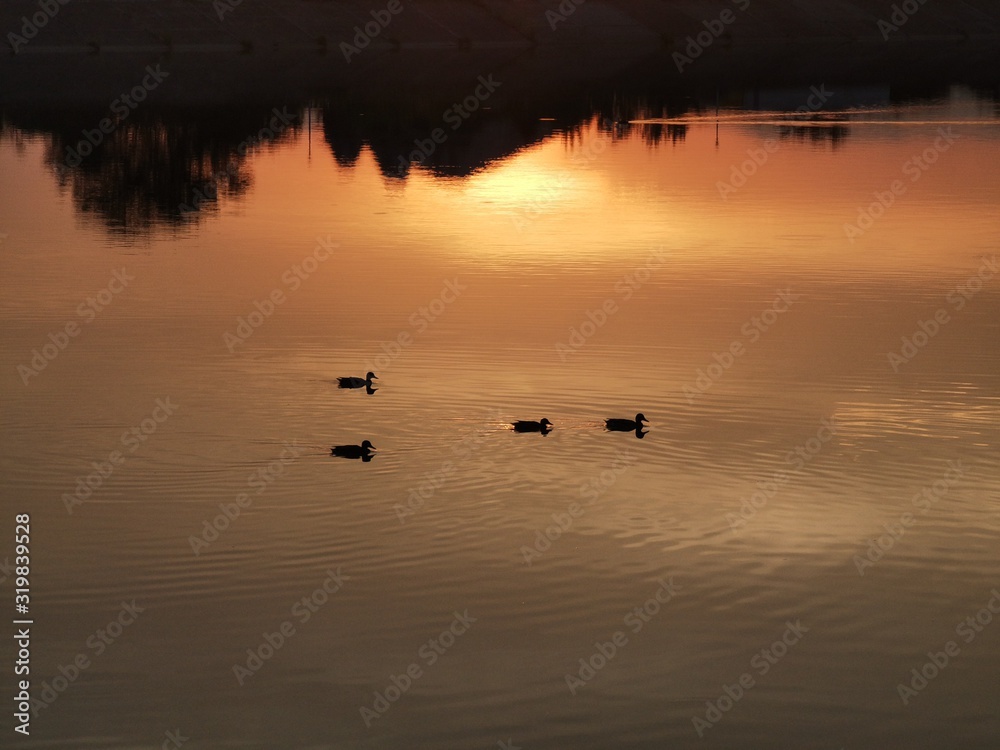 Naklejka premium sunset on the lake