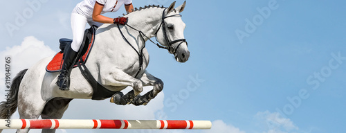 Girl jumping with white horse  isolated  blue sky  white clouds background. Rider in white uniform  equestrian sports. Horizontal header or banner. Ambition  breaking through  free  health concept.
