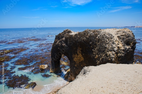 Playa Trompa de Elefante, San Juan de Marcona, Peru 