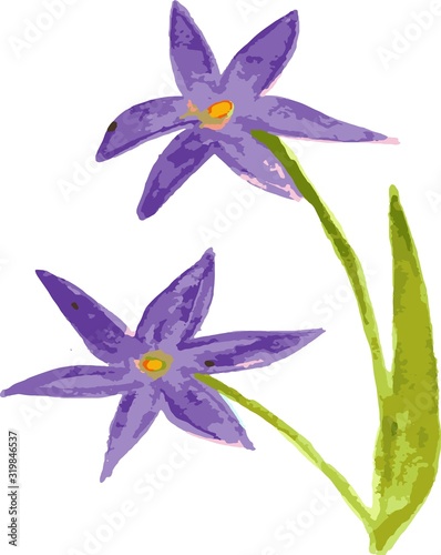 Flowers of watercolor illustration. Manual composition. Mother's day, wedding, birthday, Easter, Valentine's Day. Pastel color. Spring. Summer.