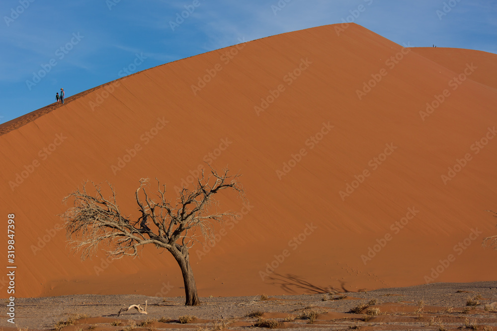 Beautiful landscape with red huge sand dunes at sunset in desert. Sossusvlei, Namib Naukluft National Park, Namibia. Stunning natural geometry without people