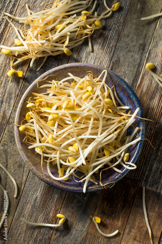 Raw White Organic Bean Sprouts photo