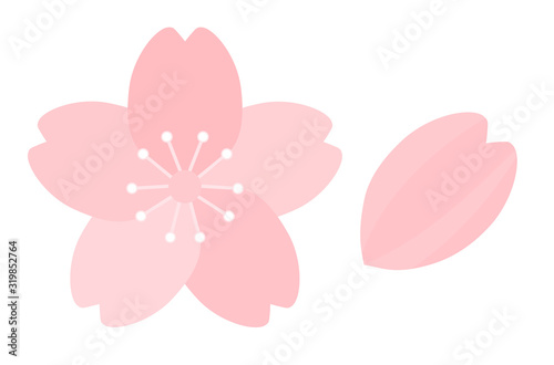 Spring event_cherry blossom petal