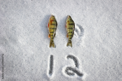 Ice fishing countdown in the snow