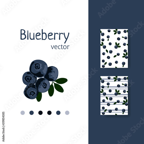 Stylish blueberry pattern design. Vector image.