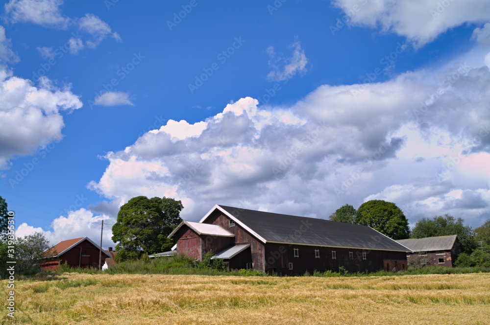 Feld oder Acker mit Scheune unter blauem Himmel mit weißen Wolken im Sommer Feld oder Acker mit Scheune unter blauem Himmel mit weißen Wolken im Sommer
