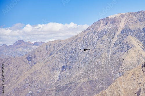 Mirador Cruz del Condor, Cabanaconde, Peru © Lucie