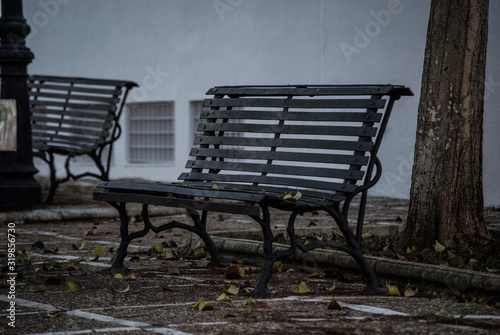 Empty bench with leaves on it