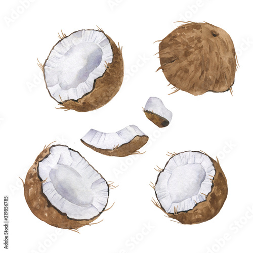 Set of fresh coconut pieces isolated on white background. Hand drawn watercolor illustration.
