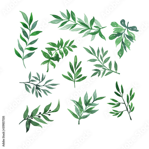 Set of doodle green leaves and branches isolated on white background. Hand drawn watercolor illustration.