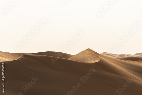 sand dune in the desert of UAE