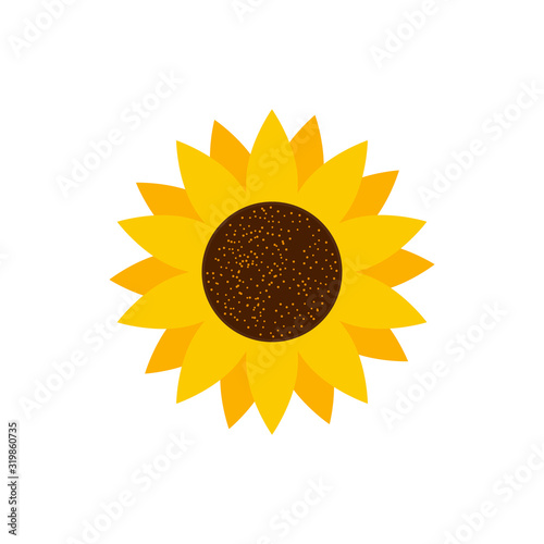 Sunflower flower isolated, vector illustration isolated on the white background
