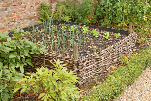 A raised bed surrounded by woven willow in the kitchen garden of an old country house.