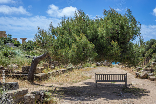 Bench in acropolis of Selinunte also called Selinus - ancient city on Sicily Island in Italy photo