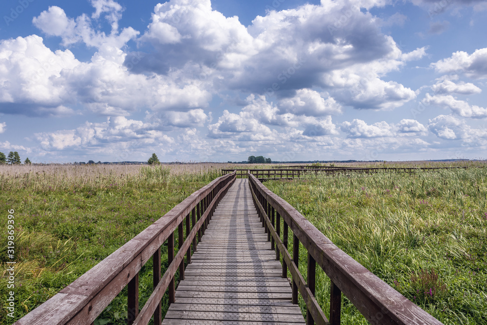 Wooden pathway for tourists in Narew National Park, close to the park authorities headquarters in Kurowo village, Poland Wooden pathway for tourists in Narew National Park, close to the park authorities headquarters in Kurowo village, Poland