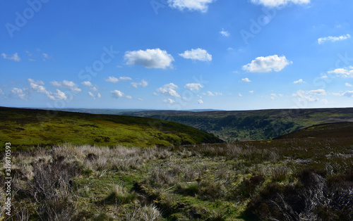 Stunning Scenery and Views of Heather Filled Fields and Boggs photo