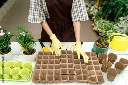 Gardener in an apron planting seeds in paper planters in the winter garden photo