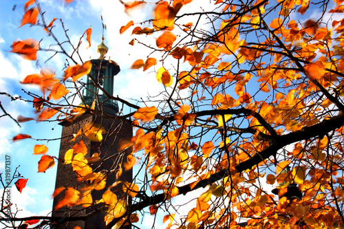 Photography Stockholms stadshus på hösten