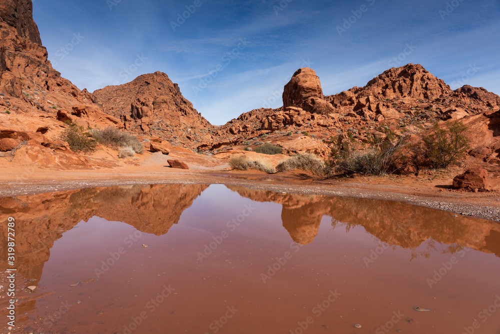 Red Rock Desert landscape reflection in pool of water