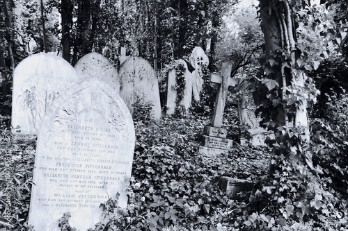 scorci in bianco e nero del cimitero di Highgate, Londra photo