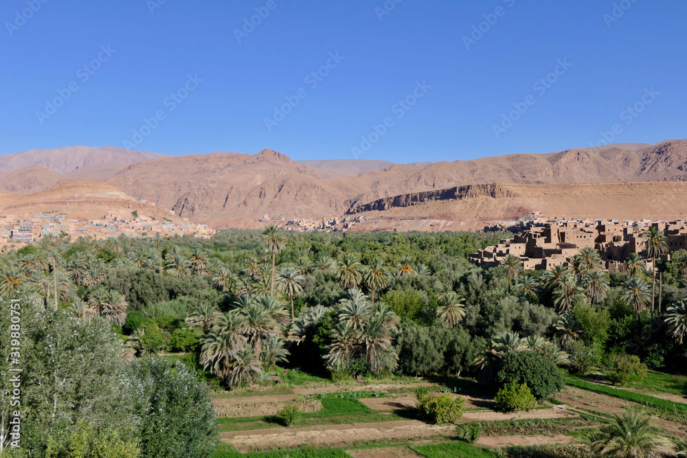 Green gorge with palm trees and casbah in background, surrounded by desert, Morocco, Africa