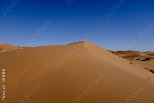 Sand dune with interesting shades and texture before desert landscape in Sahara during midday sun  Morocco  Africa